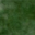 Leaf Green